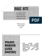 CSS Snake Bite