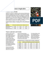 hoja de cálculo de muestra.pdf