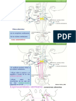 RESUMEN Sistemas Funcionales-Láminas PDF