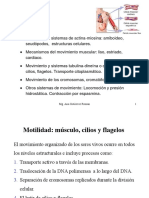 CLASE - Semana 9 Sistema Muscular - MODIFICADOpdf PDF