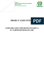Proiect Audit Intern