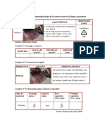 Resultados