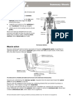 7c Summary Sheets