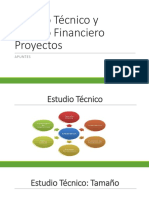 EstudioTecnicoyEstudioFinancieroApuntes PDF