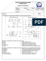 Banco de Atividades Out 2 Ano PDF