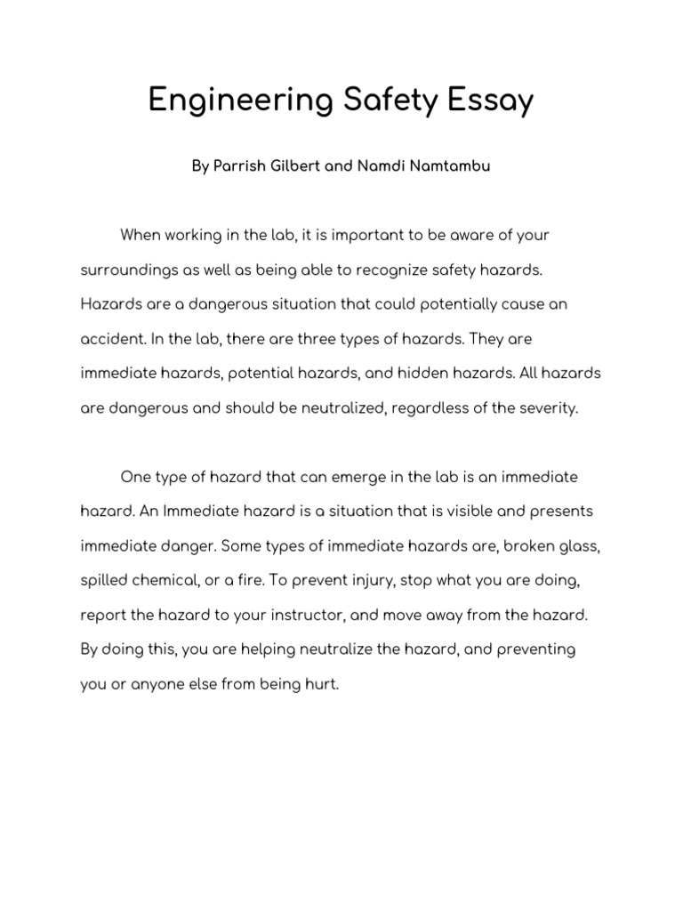 Engineering Safety Essay PDF Hazards Prevention