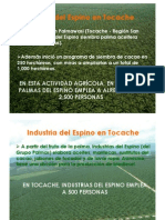 Palmas Del Espino en Tocache