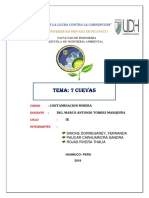 INFORME DE LAS 7 CUEVAS  TERMINADA.docx