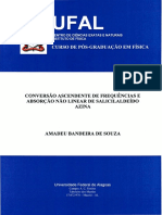 Amadeu Bandeira de Souza .Tese - Instituto de Fisica PDF