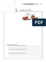 BOTANICA TAREA.pdf