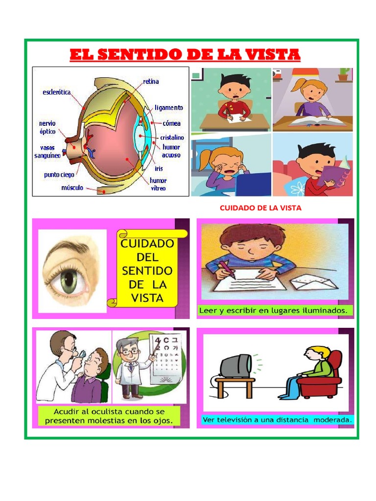 Cuidado de La Vista | PDF