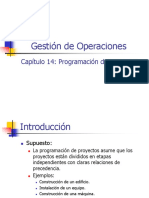 14_Programacion_de_Proyectos.pdf