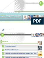 Metodologia Enfermera (NANDA-NIC-NOC) PDF