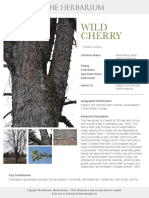 The Herbarium - Wild Cherry Monograph
