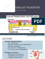 Renal Tubular Transport (SP)