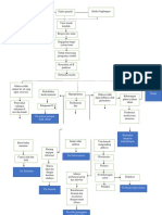 Pathway DM Anak KLP 1