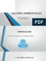 VALORES AMBIENTALES - Odp