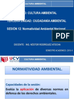 12 Sesión - Normatividad Ambiental Nacional 2019 Ii PDF