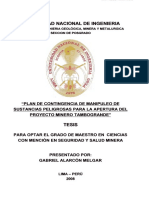 alarcon_mg.pdf