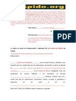 FormatoDemandaB PDF