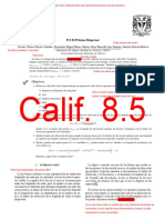 P02 FlorentinoMario PDF