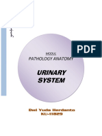 Urinaru System Patologi