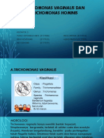 Trichomonas Vaginalis Dan Trichomonas Hominis