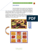 Mermelada de oca fortificada con chía: Un producto con valor agregado