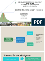 G1 - Remocion de Nitrogeno y Fosforo