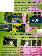Leaflets.pdf
