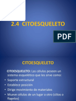 Biología Celular - Citoesqueleto