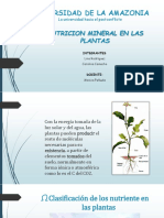 JOSE TRUJILLO - SEMINARIO 2. Nutrición mineral en las plantas.pdf