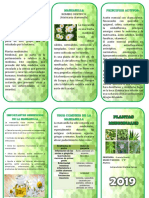 Planta Medicinal - Triptico