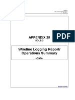 Appendix-25 Sole-2 Wireline Report