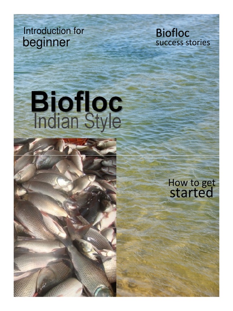 biofloc fish farming business plan pdf