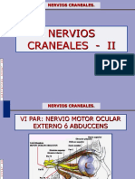 - 07 Clase Pares craneales VI, VIII, IX, X, XI  y XII.pps