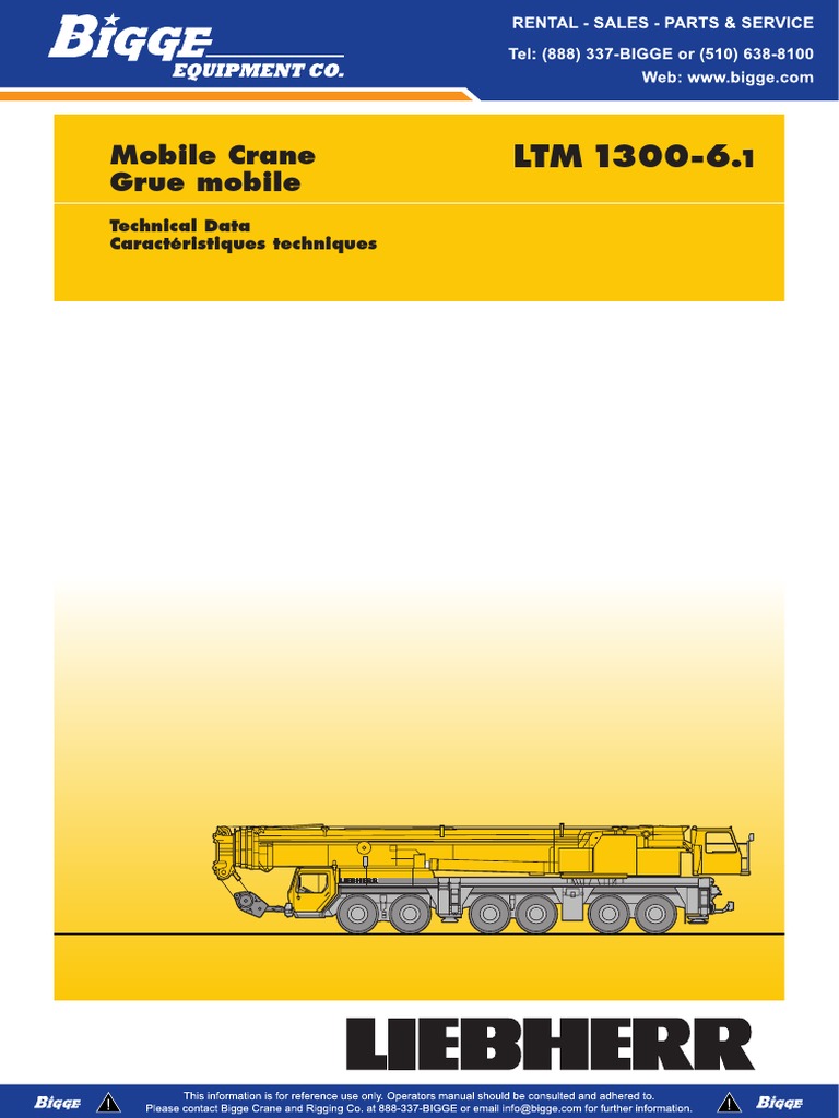 スコア Hap10: reconstructing accurate and long polyploid haplotypes using