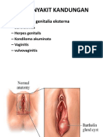 Jenis Penyakit Kandungan