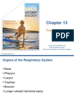 CH 13 Respiratory-System