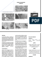 TRIPTICO LANDSAT.docx