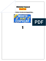 Whitehat Copy Cat Blueprint