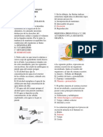 PRUEBA SABER 2° Periodo 2018