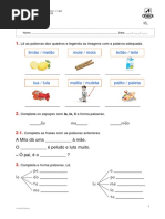 ae_port1_ficha_consolidacao_11.docx