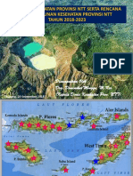 Kabid Kesmas Dinkes NTT (Drg. Maria Silalahi) - Kebijakan Pembangunan Kesehatan & Tenaga Kesehatan Di Nusa Tenggara Timur-1 PDF