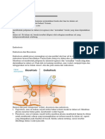 Endositosis dan Eksositosis