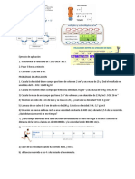 Taller Final de Fisica 1 Periodo