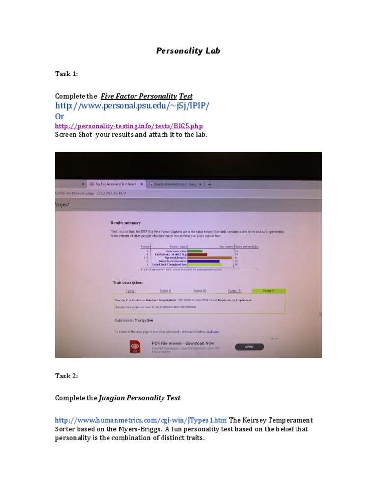 Personality Lab 2016 | PDF | Psychological Theories | Psychology