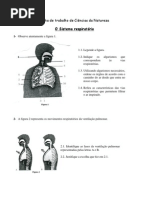 Ficha - Sistema respiratorio CN6