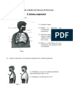 Ficha - Sistema Respiratorio CN6