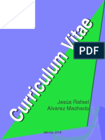 Curriculum Vitae Jesus Rafael Alvarez Machado PDF